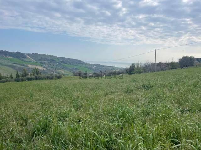 Terreno in vendita di 6500 m² in Contrada Colle Sant&apos Angelo