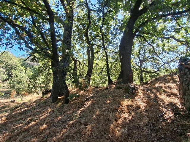 Terreno in vendita di 6500 m² in Via Cavaliere