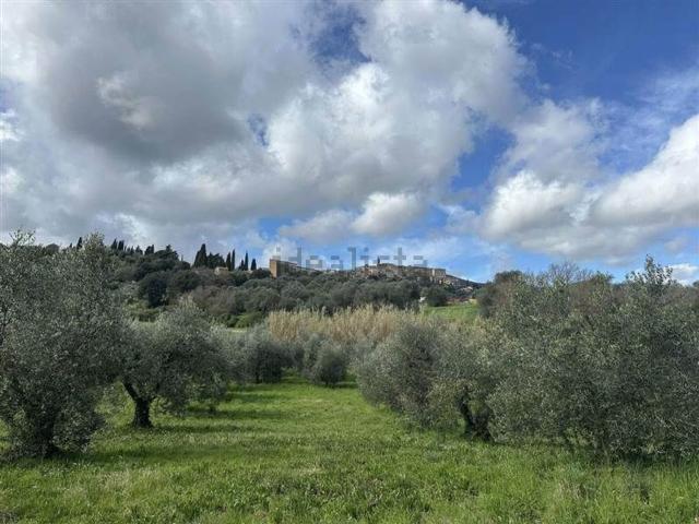 Terreno in vendita di 6500 m²