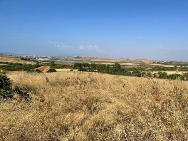 Terreno in vendita di 6500 m²