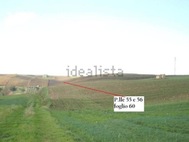 Terreno in vendita di 65049 m² in Via Torre Ardente, 47