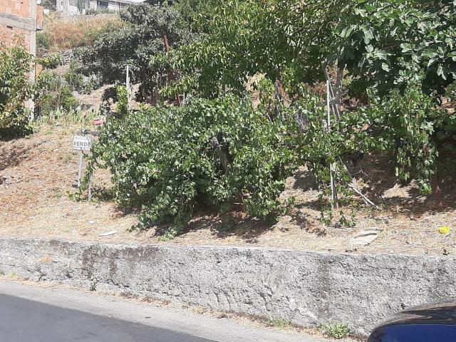 Terreno in vendita di 650 m²