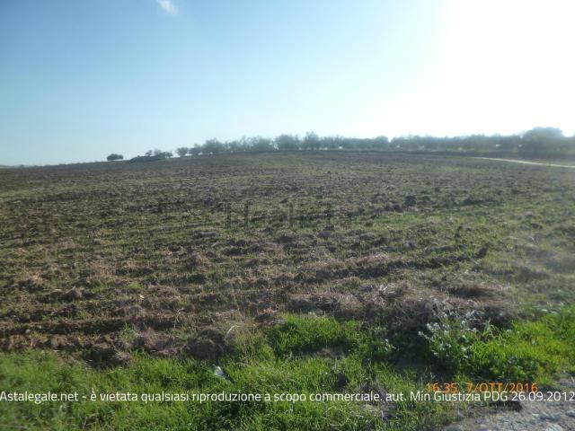 Terreno in vendita di 65112 m² in Contrada Vanelle