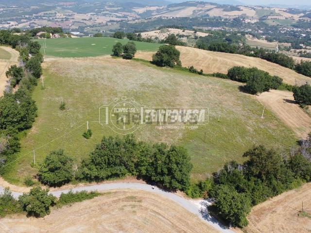 Terreno in vendita di 65119 m² in Contrada Carufo, 1