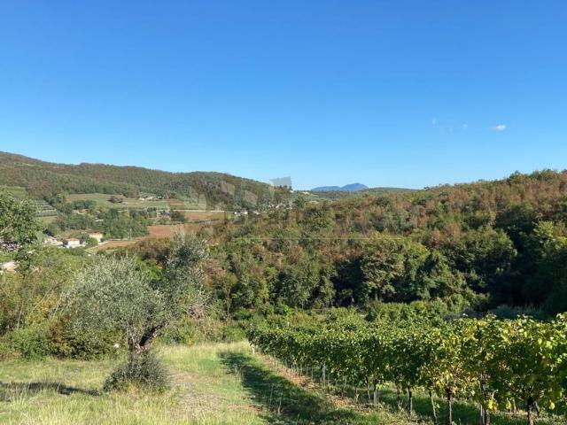 Terreno in vendita di 65149 m²