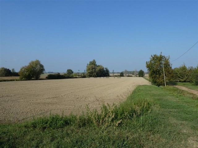 Terreno in vendita di 6640 m² in Via BASSA