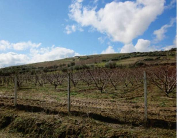 Terreno in vendita di 66640 m² in Via Concezione