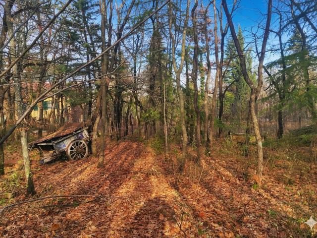 Terreno in vendita di 6680 m² in Via San Giuseppe
