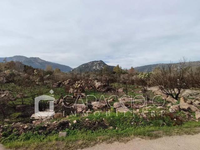 Terreno in vendita di 6681 m²