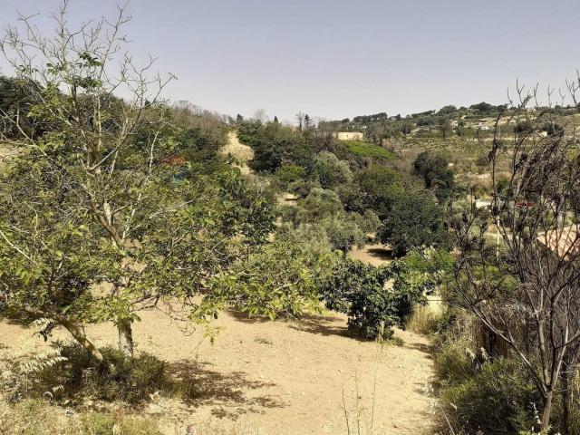 Terreno in vendita di 6690 m² in Contrada Pollicarini