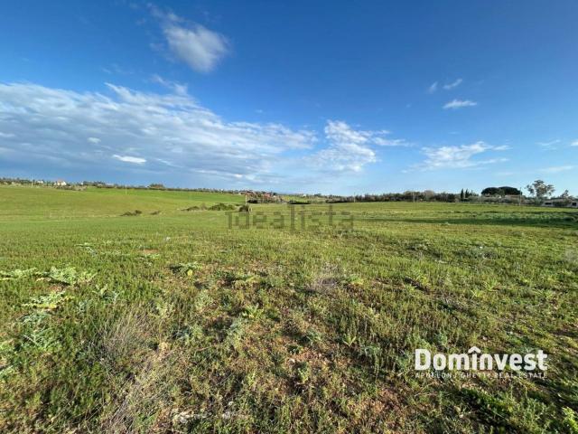 Terreno in vendita di 66000 m² in Strada Cacciata Grande