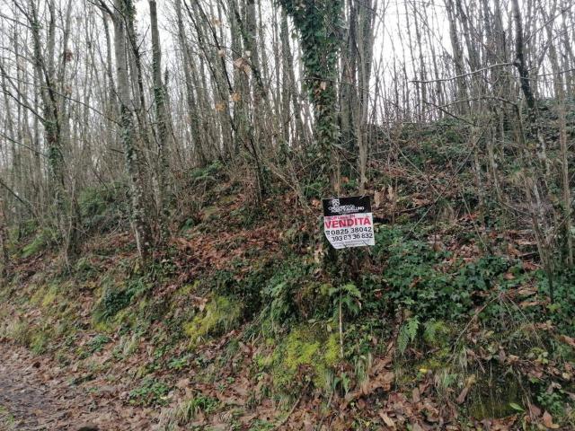 Terreno in vendita di 6600 m² in Contrada Caserini