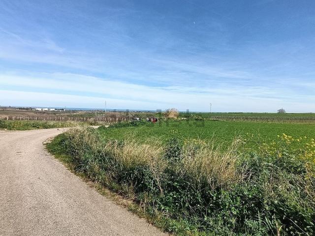 Terreno in vendita di 67577 m² in Via Madonna Grande