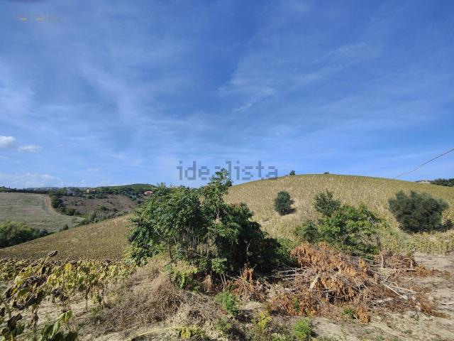 Terreno in vendita di 67680 m² in Contrada Forola