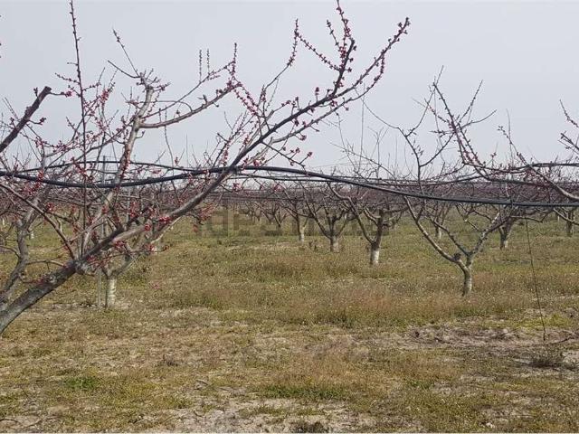 Terreno in vendita di 67000 m² in Strada senza nome