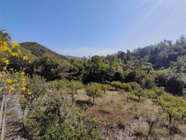 Terreno in vendita di 6700 m² in Via Catania