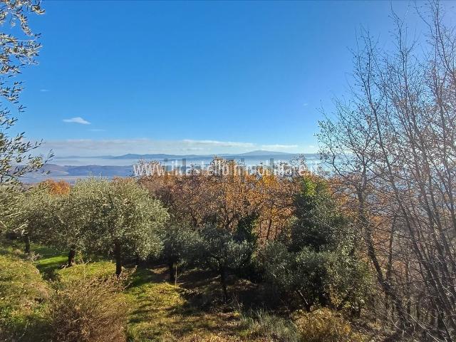 Terreno in vendita di 6700 m² in Viale Beato Alberto, 4