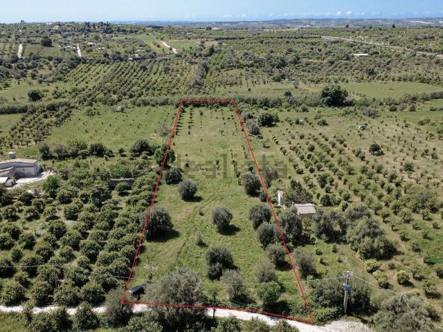 Terreno in vendita di 6850 m² in Contrada Laufi Gioi