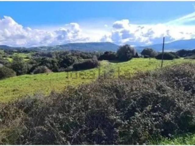 Terreno in vendita di 6885 m² in Strada Provinciale 39