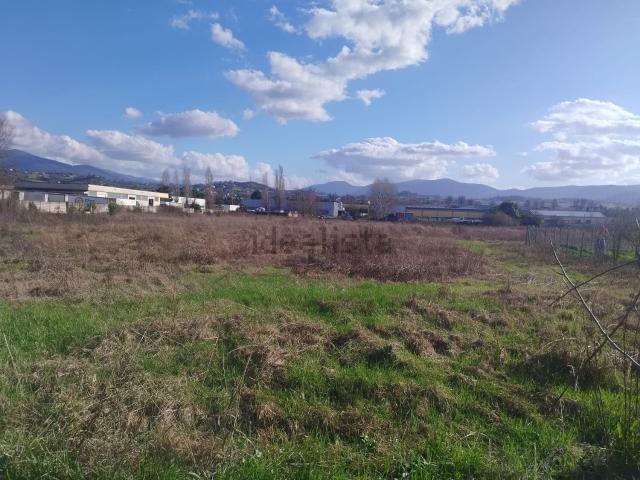 Terreno in vendita di 6890 m² in Strada di Tavernolo