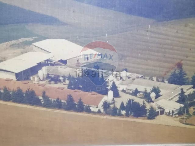 Terreno in vendita di 68000 m² in Via Tripoli, 3