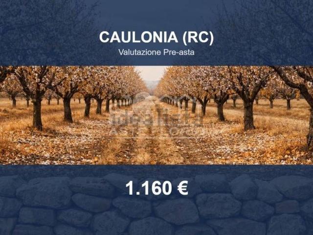Terreno in vendita di 680 m² in Contrada Foresta