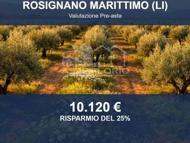Terreno in vendita di 6830 m² in Località del Mondiglio le Morelline