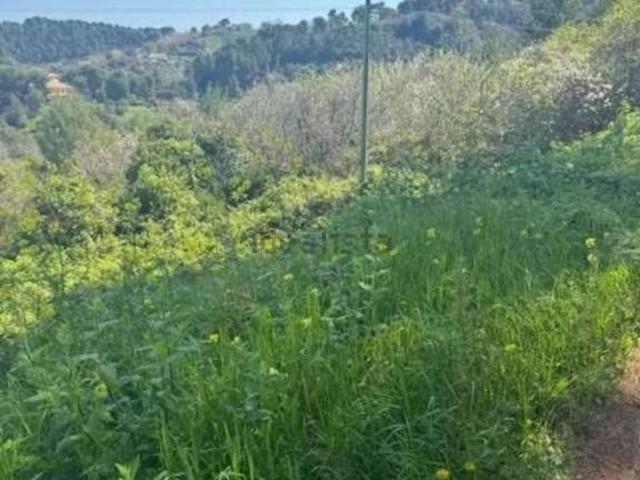 Terreno in vendita di 6965 m² in Via Palmiro Togliatti