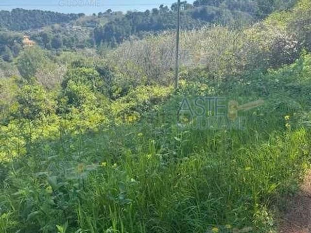 Terreno in vendita di 6965 m² in Via Palmiro Togliatti