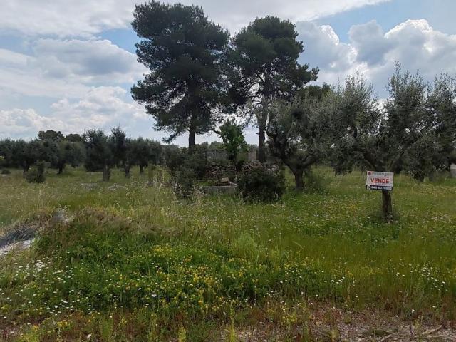 Terreno in vendita di 6968 m² in Via P. Lonoce