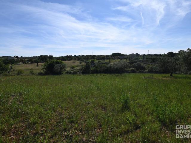 Terreno in vendita di 6970 m² in Via Roma