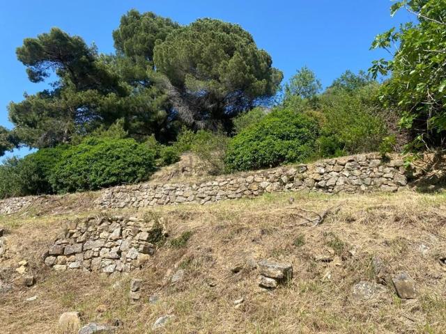 Terreno in vendita di 6900 m² in Via Giuseppe Airenti