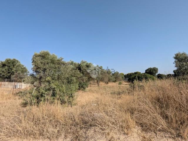 Terreno in vendita di 705 m² in Strada Comunale Selargius Ussana