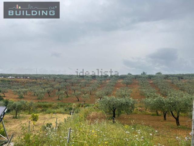 Terreno in vendita di 70000 m² in Contrada Grazia