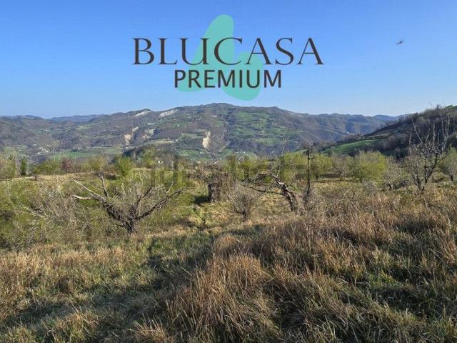 Terreno in vendita di 70000 m² in Strada Comunale Pescaglie, 84
