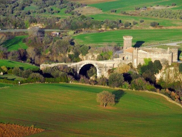 Terreno in vendita di 70000 m² in Strada PROVINCIALE