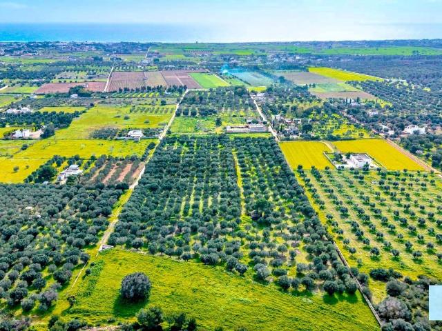 Terreno in vendita di 70000 m² in Strada Provinciale per Borraco