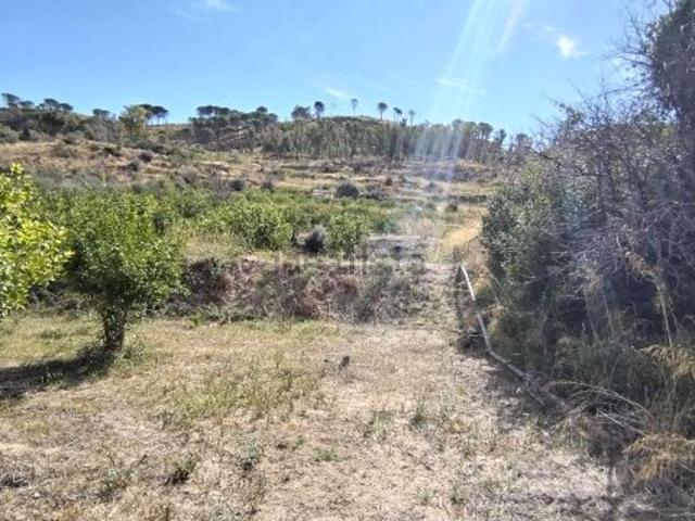 Terreno in vendita di 7000 m² in Contrada Poggio Leone