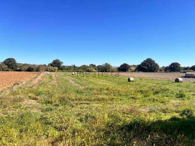 Terreno in vendita di 7000 m² in Strada Provinciale 15