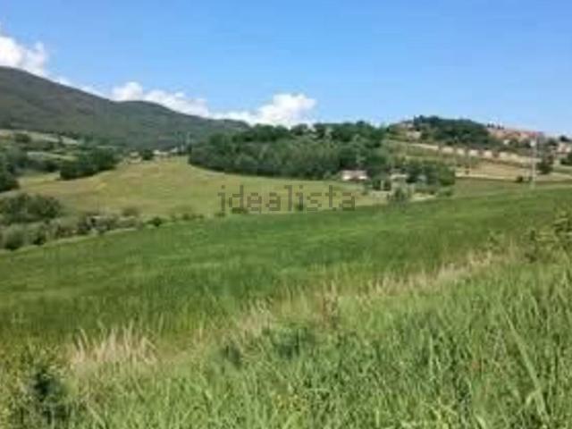 Terreno in vendita di 7000 m² in Via Capitonese