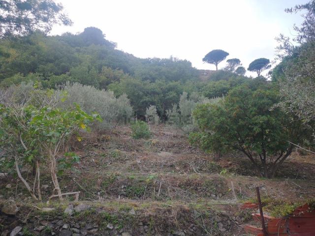 Terreno in vendita di 7000 m² in Via Comunale Catarratti, 106
