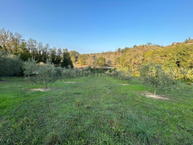 Terreno in vendita di 7000 m² in Via Croce Feragalli