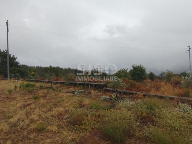 Terreno in vendita di 7000 m² in Via Cristaudo
