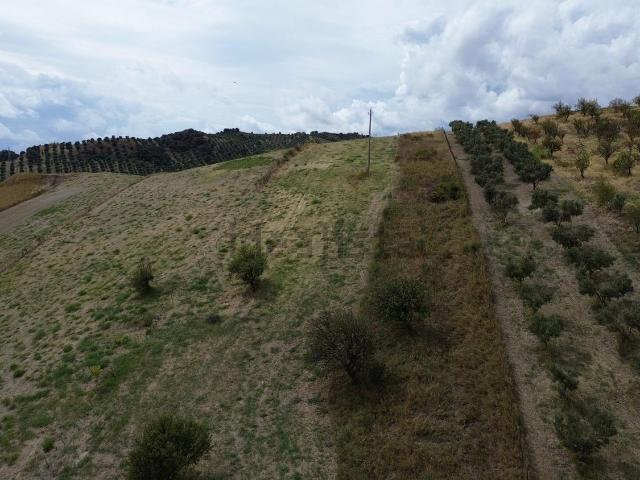 Terreno in vendita di 7000 m² in Via Curtatone