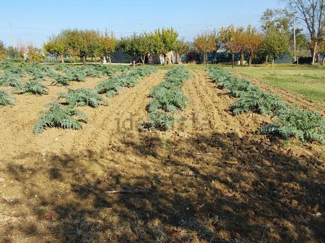 Terreno in vendita di 7000 m² in Via Enrico De Nicola