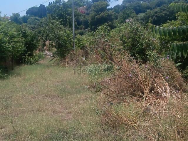 Terreno in vendita di 7000 m² in Via Madonna della Libertà