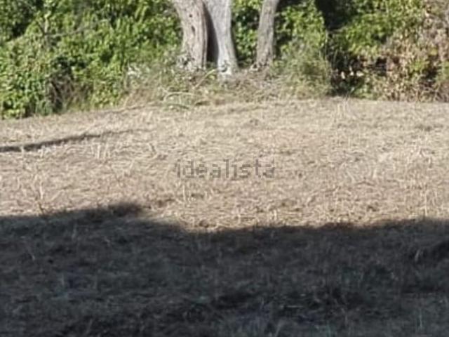 Terreno in vendita di 7000 m² in Via Palermo, 4