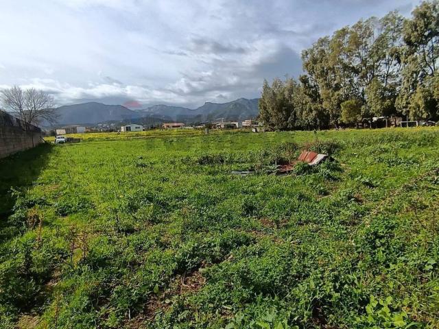 Terreno in vendita di 7000 m²