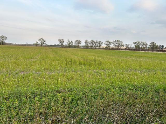 Terreno in vendita di 7000 m²