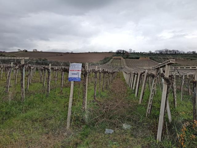 Terreno in vendita di 700 m² in Contrada Cuna Re di Coppe, 13